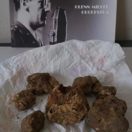 別荘 San Giovannina '800 *