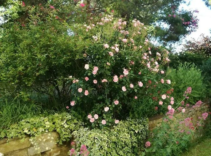 San Giovannina '800 Feriehus *