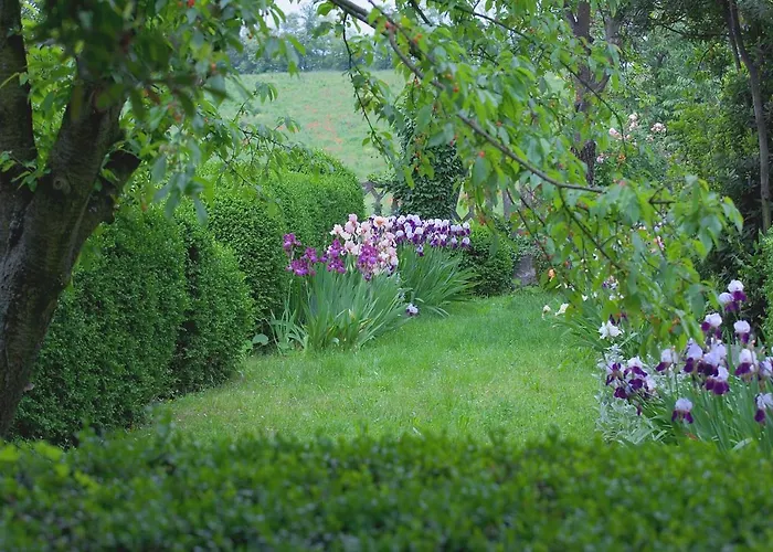 San Giovannina '800 Casale Monferrato